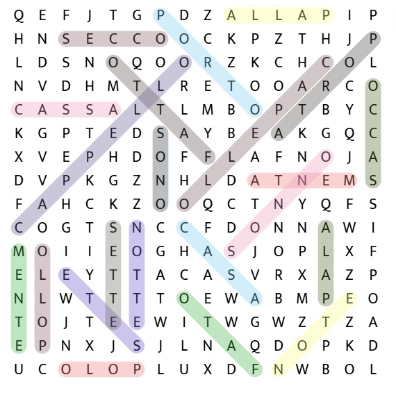 Solution to the Italian similar words word search puzzle